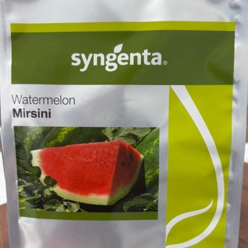 Mirsini Syngenta