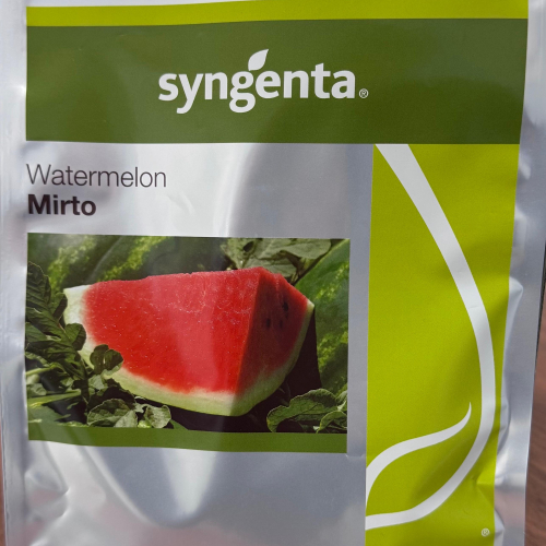 Mirto Syngenta